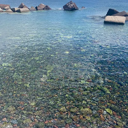 Giacinti Villa Lingua