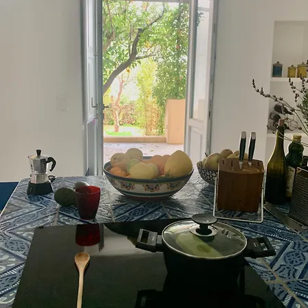 Giacinti Villa Lingua