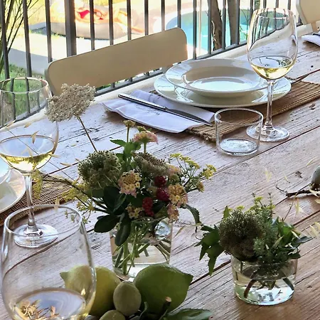 Giacinti Villa Lingua